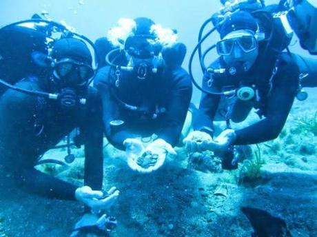 más tesoros en los mares