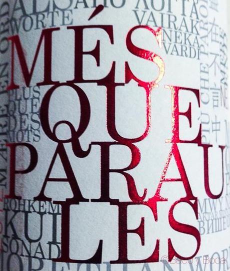 Mes-que-paraules-bacoyboca-3