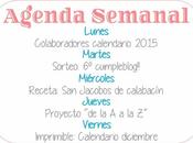 Agenda Semanal 17/11 23/11