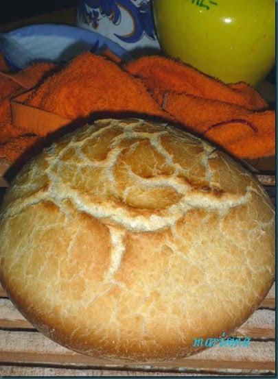 2º pan milagro3 copia