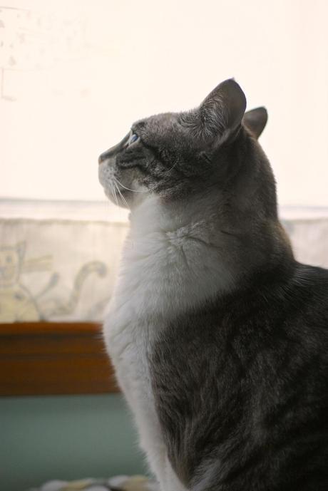 Funda de asiento de trapillo funda crochet_7_20140509 - Version 2