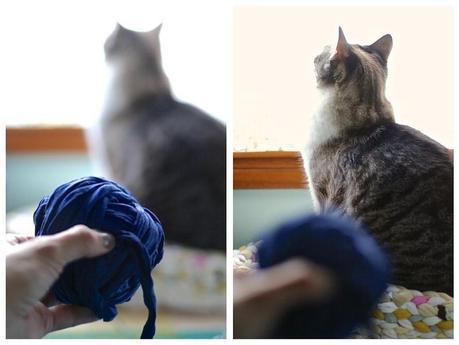 Funda de asiento de trapillo Ribbet collage