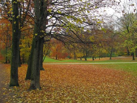 Caminar en otoño por el Jardín Inglés de Munich