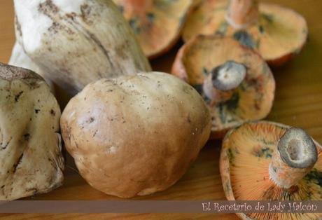 Risotto de boletus, níscalos y conejo