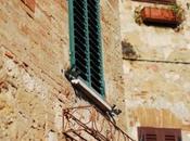 obsesión ventanas/ window obsession