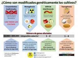 10612957 290625611121068 7349367979549511725 n 250x187 Una ensalada de fin de semana al natural... ¿natural?