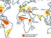 ensalada semana natural… ¿natural?