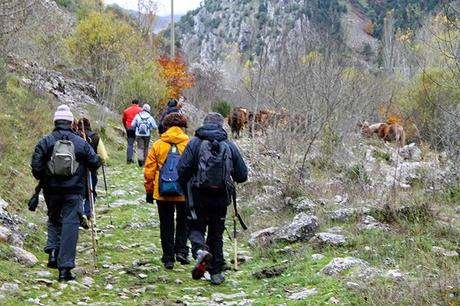 Ruta Vadiniense, el Camino Real del Esla. Encuentro de Asociaciones de Amigos del Camino de Santiago