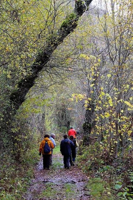 Ruta Vadiniense, el Camino Real del Esla. Encuentro de Asociaciones de Amigos del Camino de Santiago
