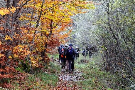 Ruta Vadiniense, el Camino Real del Esla. Encuentro de Asociaciones de Amigos del Camino de Santiago