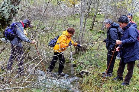 Ruta Vadiniense, el Camino Real del Esla. Encuentro de Asociaciones de Amigos del Camino de Santiago
