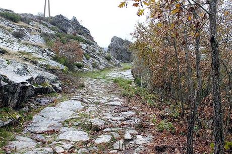 Ruta Vadiniense, el Camino Real del Esla. Encuentro de Asociaciones de Amigos del Camino de Santiago