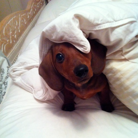 Para entrar en calor