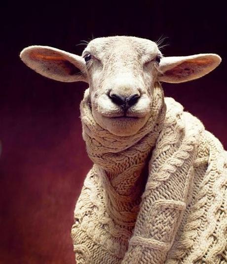 Para entrar en calor