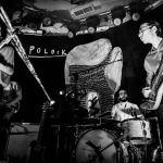 Polock madrid