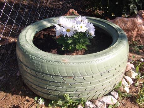 NEUMATICO RECICLADO, CONVERTIDO EN MACETA