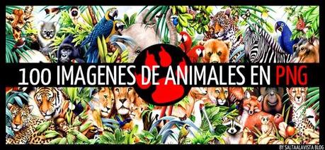 100 Imágenes HD de Animales en Formato PNG