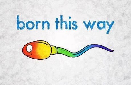 Se nace gay