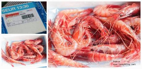 Gambas rojas de Garrucha. Una delicia para disfrutar en casa