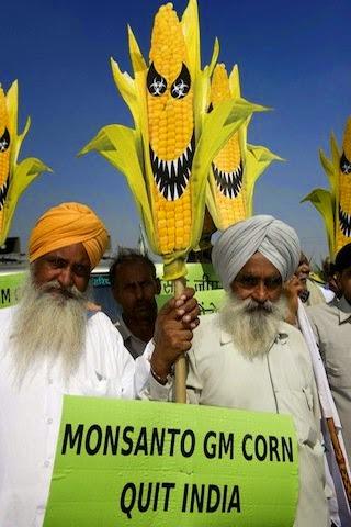 Las creaciones OGM de Monsanto causan 291.000 suicidios en la India.