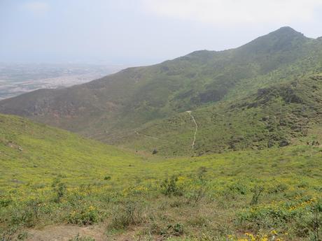 Entre El Santuario y Las Lomas: Pachacamac y Lucumo