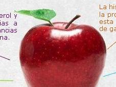 manzana rica vitaminas, minerales fibra