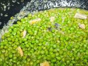 Recetas Zapatillas: Cazuela Guisantes Choco