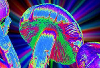 Hongos alucinógenos crean hiperconexiones cerebrales