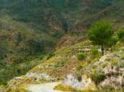 Turismo rural Almería: sector auge