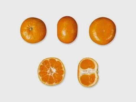 El nombre que los científicos (expatriados o siéndolo) para la mandarina es Citrus nobilis. Y si leéis esto entre los meses de octubre a febrero, se encuentran en temporada.