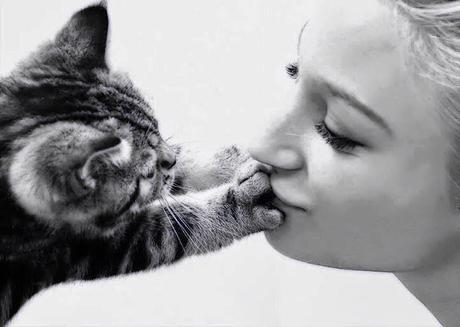 Puntos cardinales de Jatte: 1