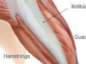 rodilla corredor
