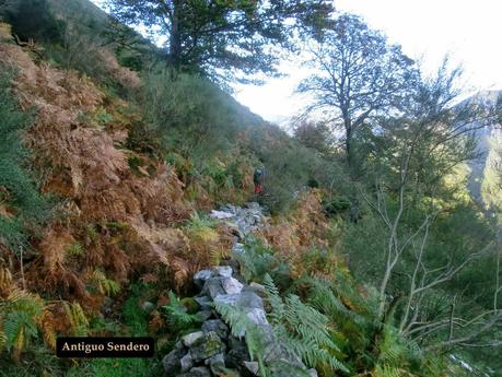 Ventana Fuentes-Los Castillones-El Oso-Noales-Xexe