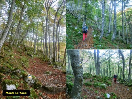 Ventana Fuentes-Los Castillones-El Oso-Noales-Xexe