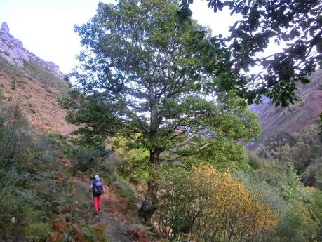 Ventana Fuentes-Los Castillones-El Oso-Noales-Xexe