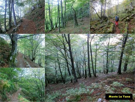 Ventana Fuentes-Los Castillones-El Oso-Noales-Xexe