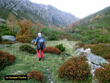 Ventana Fuentes-Los Castillones-El Oso-Noales-Xexe