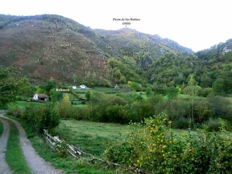 Ventana Fuentes-Los Castillones-El Oso-Noales-Xexe