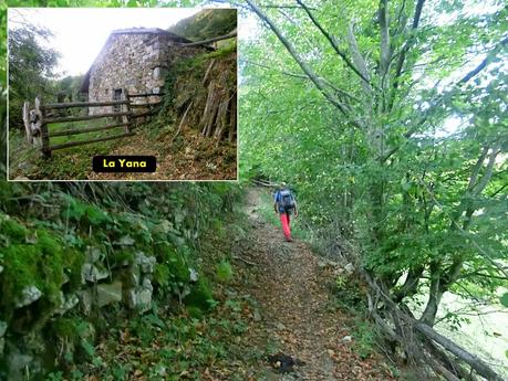 Ventana Fuentes-Los Castillones-El Oso-Noales-Xexe