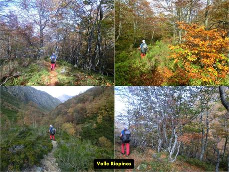 Ventana Fuentes-Los Castillones-El Oso-Noales-Xexe