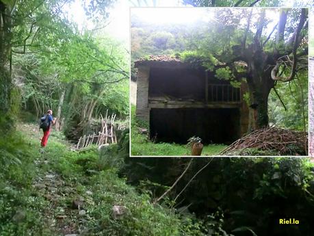 Agüera-La Arena-Cigüedres-Quintanal-San Esteban-Aguasmestas-Cuevas-Noceda-Santullano