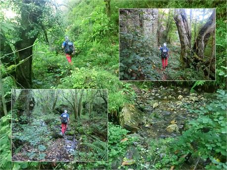 Agüera-La Arena-Cigüedres-Quintanal-San Esteban-Aguasmestas-Cuevas-Noceda-Santullano