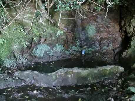 Agüera-La Arena-Cigüedres-Quintanal-San Esteban-Aguasmestas-Cuevas-Noceda-Santullano