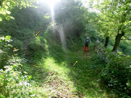 Agüera-La Arena-Cigüedres-Quintanal-San Esteban-Aguasmestas-Cuevas-Noceda-Santullano