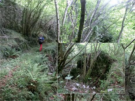 Agüera-La Arena-Cigüedres-Quintanal-San Esteban-Aguasmestas-Cuevas-Noceda-Santullano