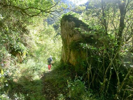 Agüera-La Arena-Cigüedres-Quintanal-San Esteban-Aguasmestas-Cuevas-Noceda-Santullano