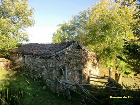 Agüera-La Arena-Cigüedres-Quintanal-San Esteban-Aguasmestas-Cuevas-Noceda-Santullano