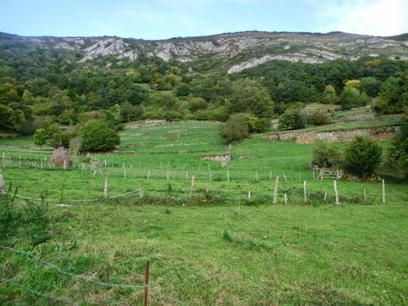 Agüera-La Arena-Cigüedres-Quintanal-San Esteban-Aguasmestas-Cuevas-Noceda-Santullano