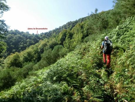 Gamonalín-Fana de Genestaza