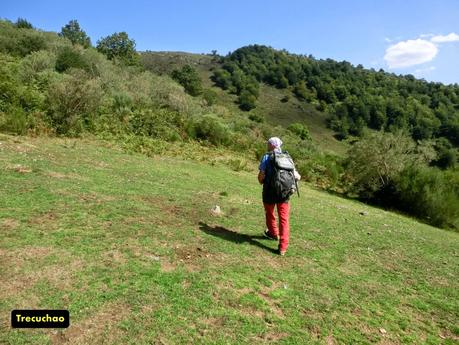 Gamonalín-Fana de Genestaza